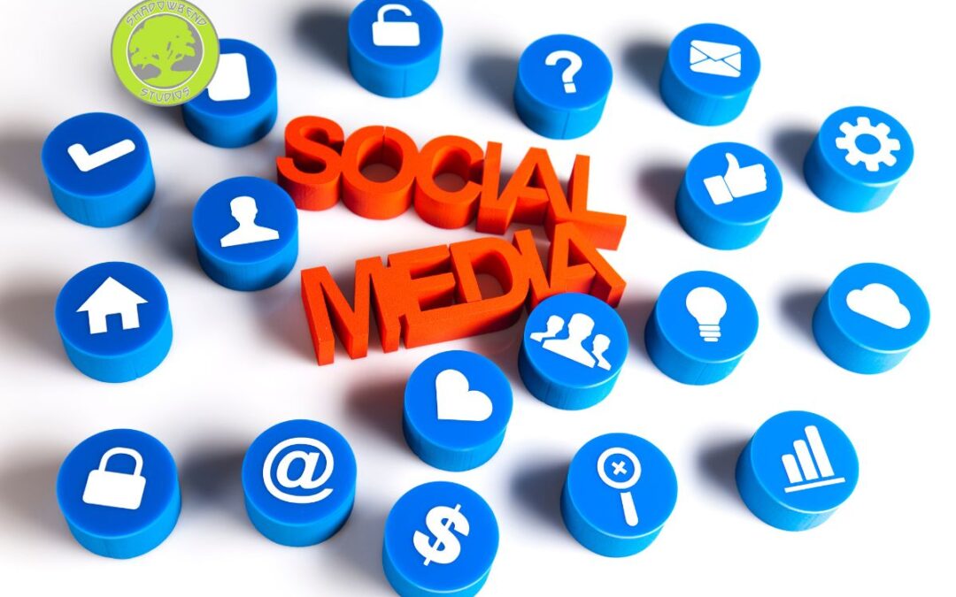 What are the types of social media marketing?